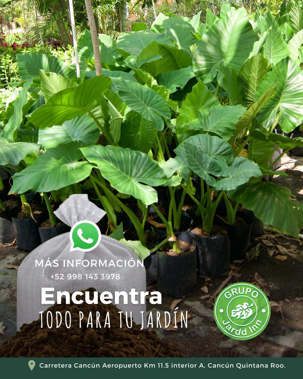 PHOTO-2026-01-30-14-11-00