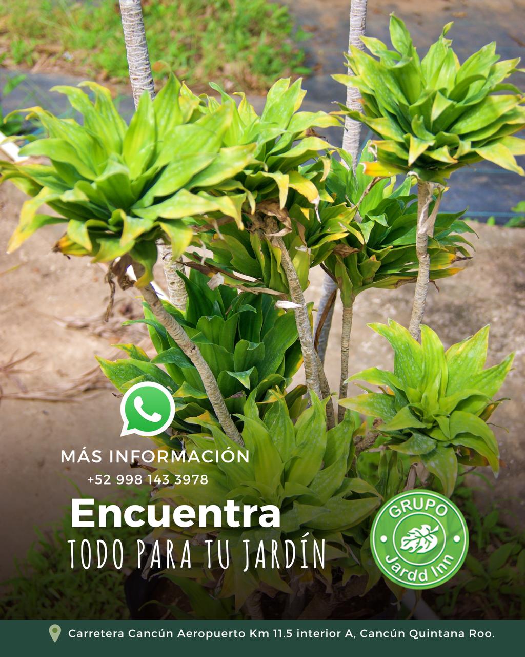 PHOTO-2026-01-30-14-11-02 2